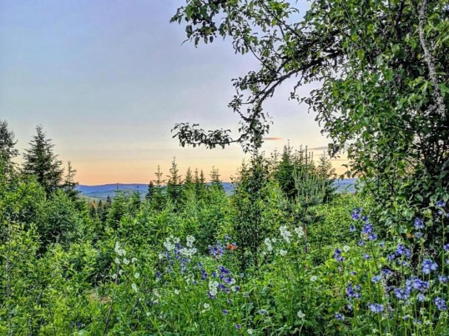 Forest Cabin With Stunning Mountain View & Sauna Torsby Exterior photo